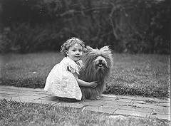 Study of a small girl with a prize Scottish terrier dog, c. 1935 / by Sam Hood